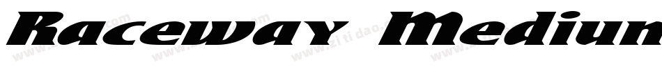 Raceway Medium字体转换